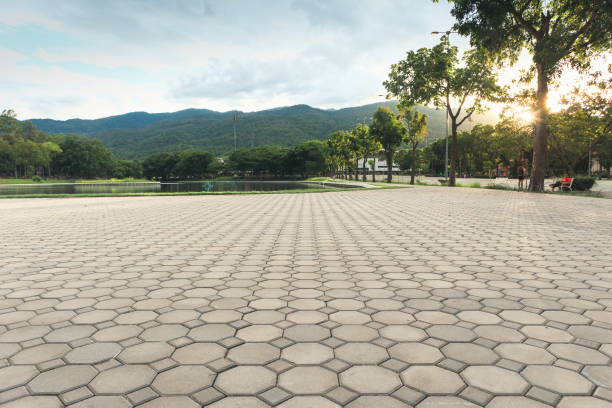 Best Affordable Driveway Pavers  in Anthem, AZ