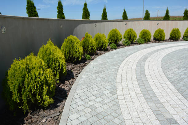 Best Commercial Driveway Pavers  in Anthem, AZ